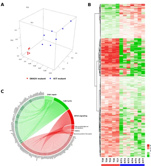 Figure 1. Transcriptome profile of D842V mutant versus KIT mutant GIST. (A) Principal component  analysis performed on the whole set of expressed genes (n = 15,134) shows a very uniform profile of  D842V mutant tumors (red dots) that is distinctly separate