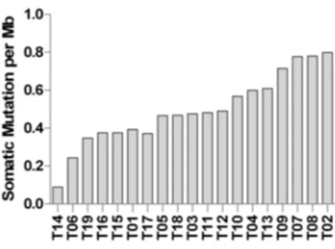 Figure 2. Mutational burden of D842V mutant GIST. The histogram bars indicate the number of  somatic mutations per magabases (Mb) of coding region