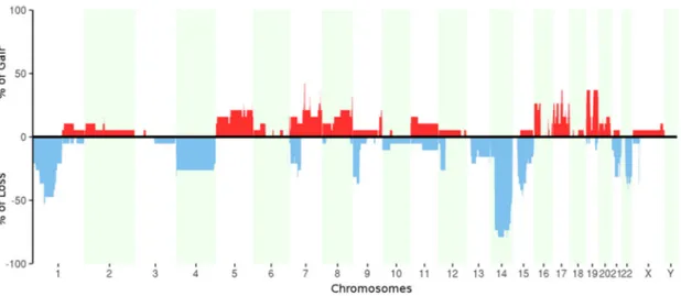 Figure 3. Graphic representation of clonal evolution of metastatic tumors T07–11 and T04–05