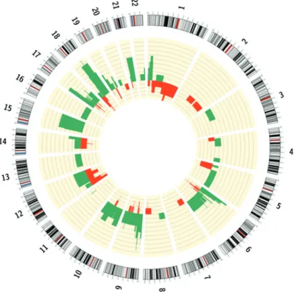 Figure 1. Macroscopic and cryptic cytogenetic alterations identified through single‑nucleotide polymorphism array technology.