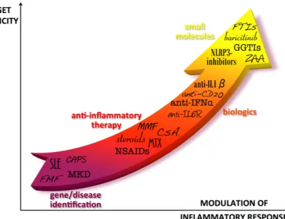 Figure 1. Progress in autoinflammatory disease therapy. After the diagnosis of  autoinflammatory diseases, first line therapies have been characterized by treatment with  anti-inflammatory drugs that generally allowed relief of symptoms but could imply sev