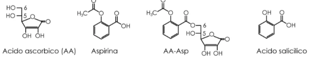 Figura 15. Formula chimica dell’acido ascorbico, dell’aspirina, del coniugato AA-Asp e dell’acido salicilico 