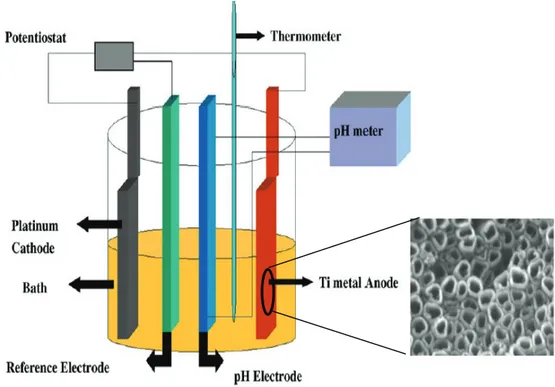 Fig. 1.15 Schematic apparatus for the electrochemical growth of titania nanotubes (right)