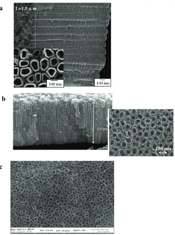 Fig. 1.18 Titania nanotubular arrays grown in various aqueous fluoride containing electrolytes