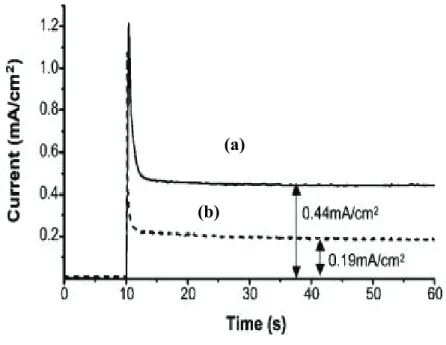 Fig. 2.21 Photocurrent transients in 0.6 M Na 2 S under short circuit conditions and visible light 