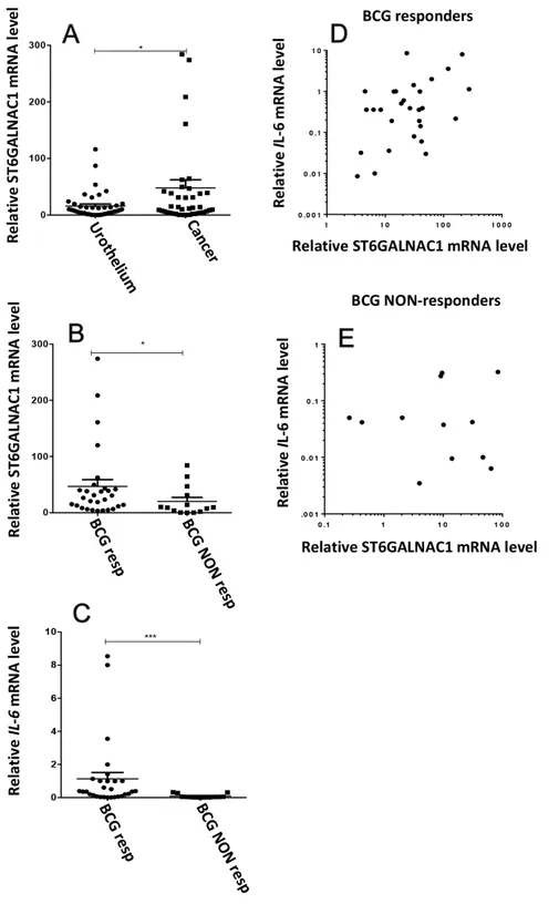 Figure 2: Gene expression analysis of surgical specimens of bladder cancers and normal urothelium