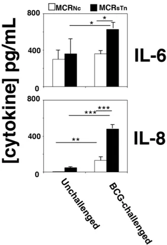 Figure 3: Cytokine secretion by BCG-challenged MCR cells.  MCR Nc  (white bars) and MCR sTn  (black bars) cells were challenged 