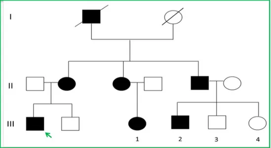 Fig. 9: rappresentazione della famiglia BM con 12 individui, 6 dei quali affetti. 