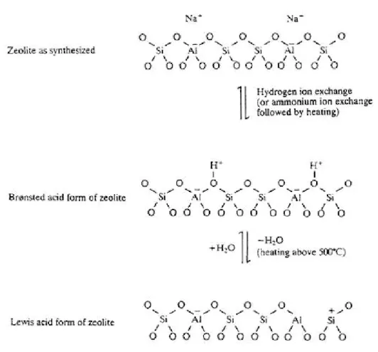 Figure 9: Schemes for generation of Brønsted and Lewis acid sites in zeolites 
