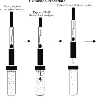 Fig. 6 SPME procedure for collecting and analyzing the sample [58]. 