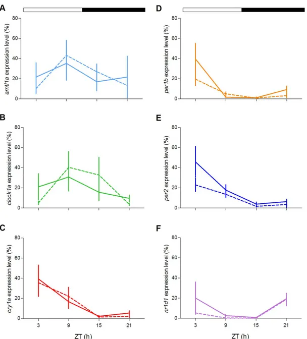 Figure 8. Daily expression levels of clock genes in zebrafish adult liver.  qPCR analysis of clock  (A,B,D,F) and light-regulated clock (C,E) gene expression in the liver of zebrafish exposed to LD  cycles