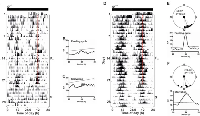 Figure 9. Daily expression levels of genes involved in metabolism in zebrafish adult liver