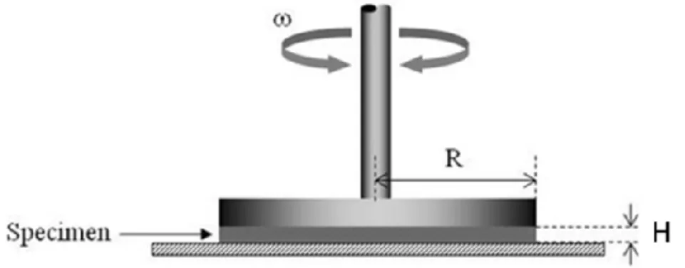 Fig.  3.9  Schematic  representation  of  a  plate  on  plate  rheometer  during  oscillation test 