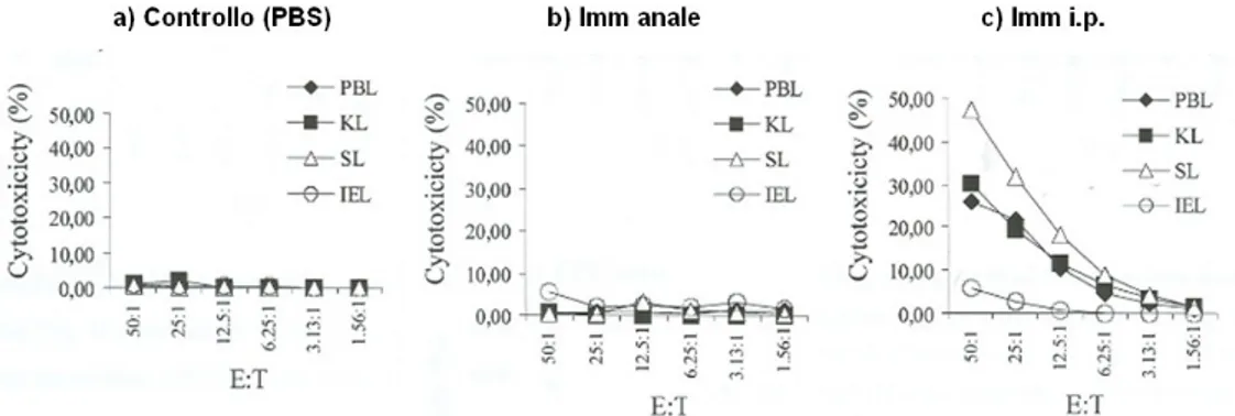 Figura   4:  Citotossicità   cellulo-mediata   (CMC)   in   carpa   ottenuta   contro   target   allogenico   (EPC)