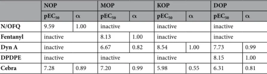 Table 1.  Pharmacological profile of Cebranopadol (Cebra) in cells coexpressing human recombinant NOP or  classical opioid receptors and chimeric G protein.