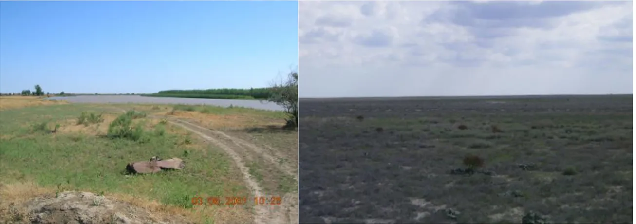 Figure 1:  Landscapes within Frame Z1, along the Ural river vegetated belt and Eskene  area