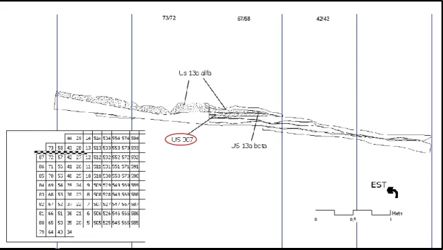 Figura 11. Sezione con individuazione dell’US 307 in relazione all’US 13 a beta (SCOZ,  2007 modificato) 