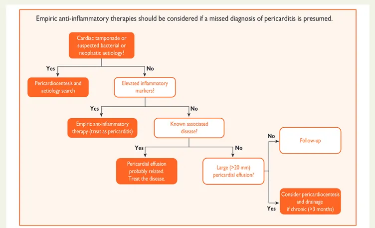 Figure 3 A simplified algorithm for pericardial effusion triage and management.