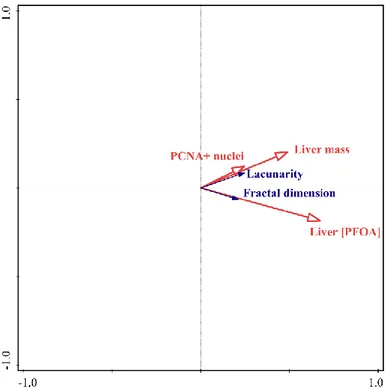 Figure 3. RDA t-value bi-plot. Fractal dimension and lacunarity are reported as blue vectors, whereas  liver mass, number of PCNA-immunoreactive nuclei and liver PFOA concentration as red vectors