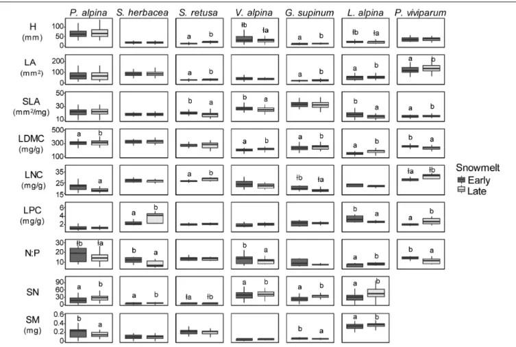 FIGURE 4 | Box-whisker plots for plant traits in the seven snowbed species at early (dark gray boxes on the left-hand side of each panel) and late (light gray boxes on the right-hand side of each panel) snowmelt areas