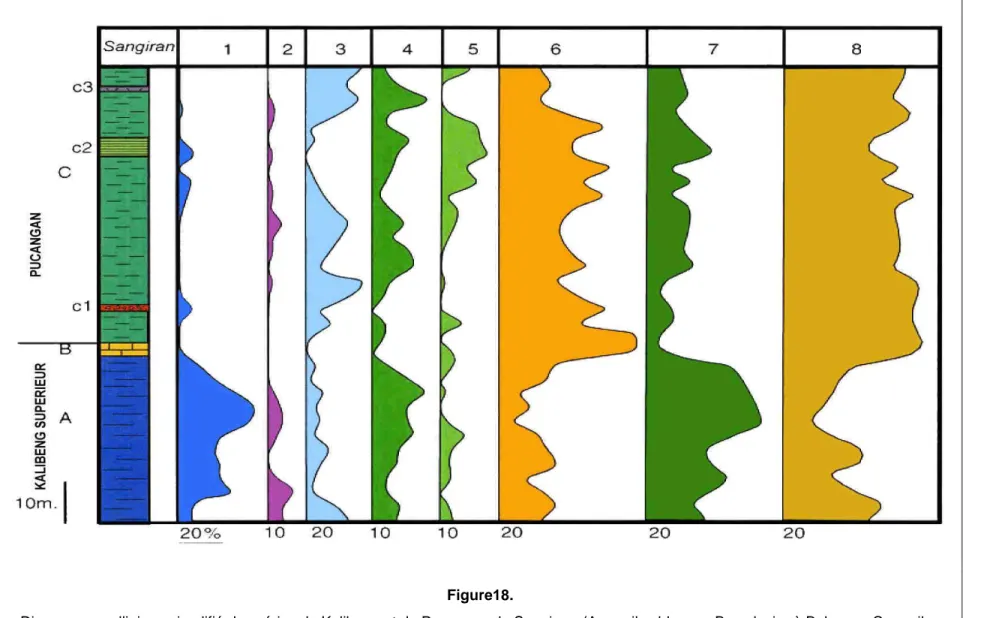 Diagramme pollinique simplifié des séries de Kalibeng et de Pucangan de Sangiran. (A : argiles bleues ; B : calcaire à Balanes ; C : argiles  noires ; c1 : brèche volcanique ; c2 : diatomites ; c3 : tuf ; 1 : mangrove ; 2 : forêt de marais ; 3 : Cyperaceae