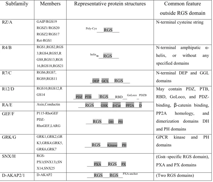 Tab. 2. Classification of RGS proteins subfamilies and their structural features (taken from Xie and Palmer 179 )