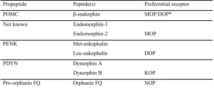 Table  1.  Brain  opioid  peptides,  their  precursor  molecules  and  preferential  binding  sites