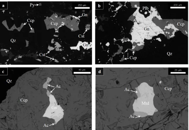 Figure 5. Back-scattered scanning electron microscopy (SEM) images of mineralized rocks from the Erdemolo lake