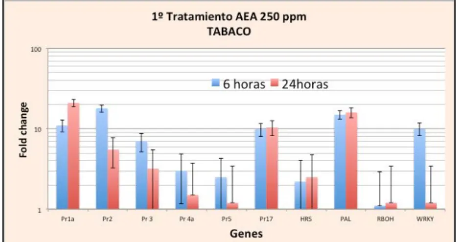 Figura 3. Livelli di espressione genica a 6 e 24 ore dal trattamento con AEA a 250 ppm