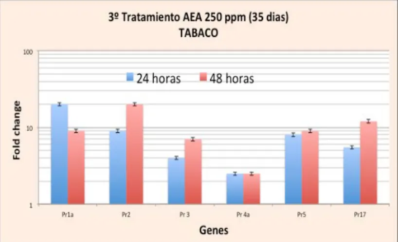 Figura 4. Livelli di espressione genica a 24 e 48 ore dal 2º trattamento di AEA a 250 ppm (35 giorni)