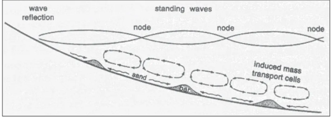 Fig. 3.1 - Schema illustrante la formazione di barre associata alle onde stazionarie, dovute alla riflessione  delle onde sulla riva (da Komar, 1998)