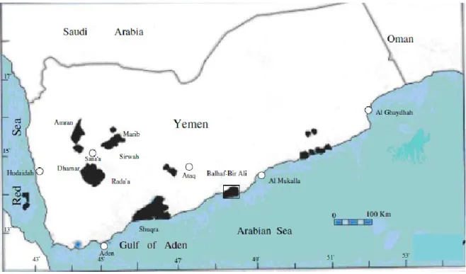 Fig. 13 – (da Heikal et al, 2012) Distribuzione dei centri vulcanici di età Plio-Quaternaria dello Yemen