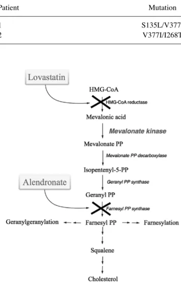 Figure 1. Schematic representation of the mevalonate pathway. The com‑ pounds used in the present study are indicated at the side of the pathway
