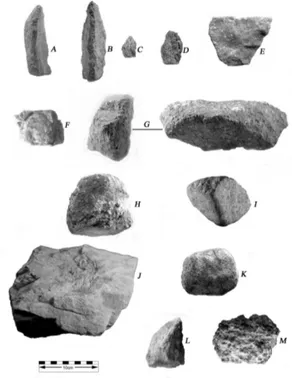 Fig.  7:  strumenti  ottenuti  mediante  scheggiatura  da  Kanzi,  (Pan  paniscus) 