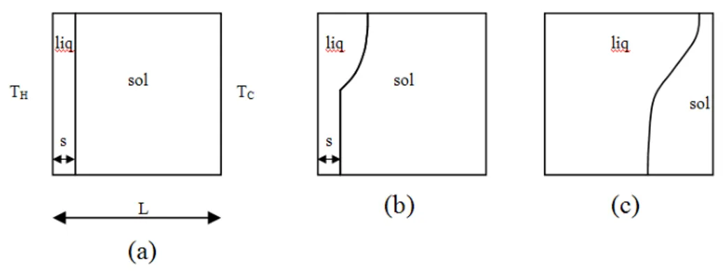 Fig.  2.1.2 Evoluzione del fenomeno 