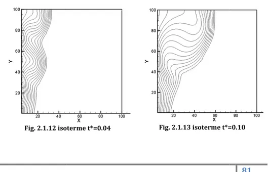 Fig. 2.1.12 isoterme t*=0.04