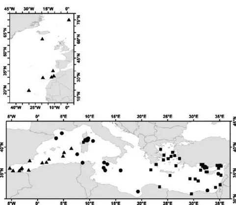 Figura  4.  Posizioni  delle  tag  elettroniche  satellitari  di  ABFT  distribuiti  nel  mar  Mediterraneo  e 