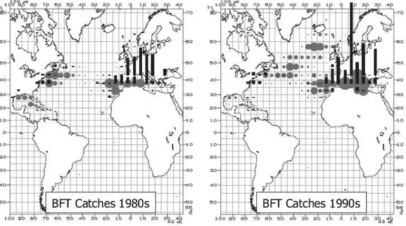 Figura  5.  Catture  totali  di  tonno  rosso  negli  anni  1980-1989  e  1990-1999,  per  località  geografica 