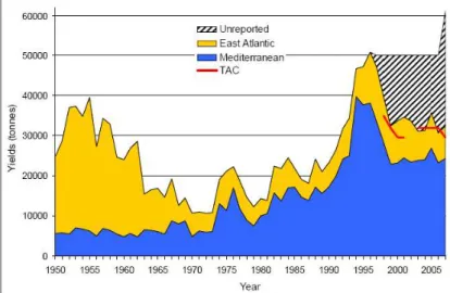 Figura  6.  Catture  riportate  da  dati  della  Task  I  dal  1950  al  2007  divisi  per  aree  geografiche  principali  insieme  alle  catture  non  riportate  stimate  dal  Comitato  dalla  capacità  attiva  di  pesca  e  tasso  medio  di  catture  nel