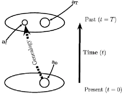 Figura 11. Modello usato dal nuovo stimatore (Berthier et al. 2002) basato 