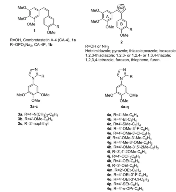 Figure 1.  Lead structures of tubulin polymerization inhibitors. 