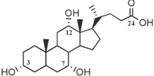 Figure 1.  Cholic acid (1a).