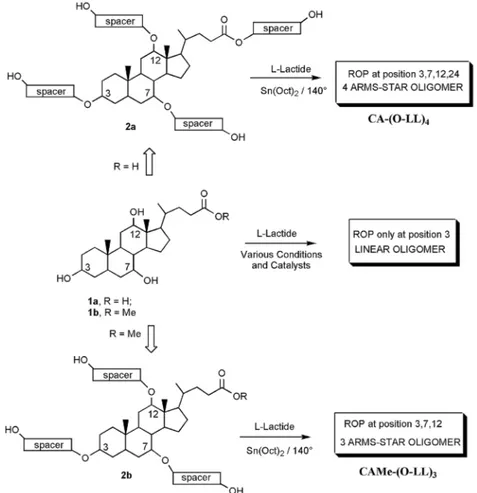 Figure 3.  Tri- and tetrahydroxylated cholic acid-based initiators .