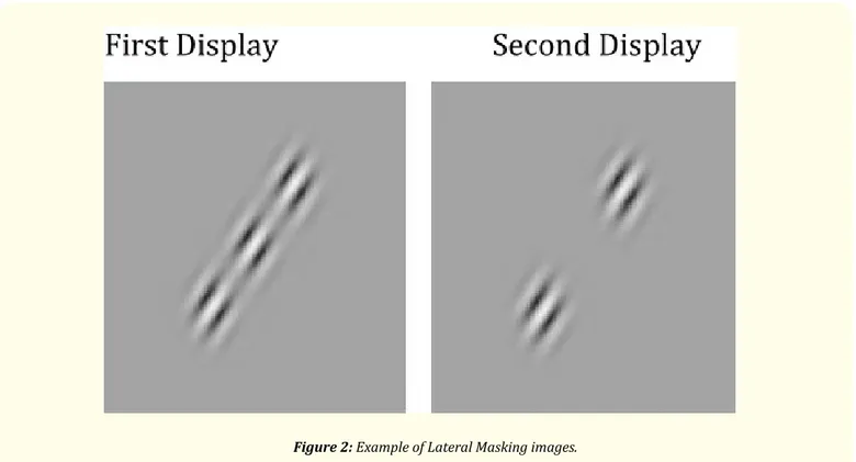 Figure 2: Example of Lateral Masking images.