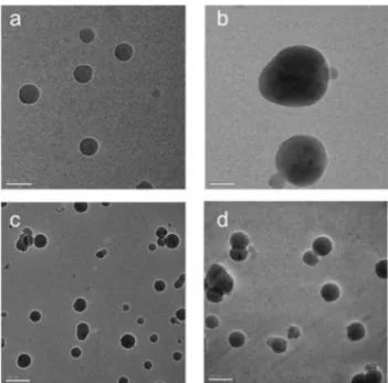 Fig. 6 Cryo-TEM images recorded for 90/10 H 2 O : dioxane samples of nanosized aggregates of complex 1 (a, b) and 3 (c, d) at concentration of 1.0 × 10 −4 M