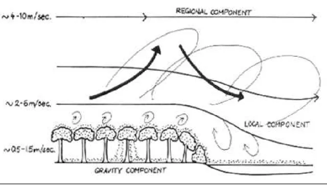 Fig. 5 - Le tre componenti della pioggia pollinica: componente regionale, componente locale e  componente gravitativa (da Faegri, Iversen 1989) 