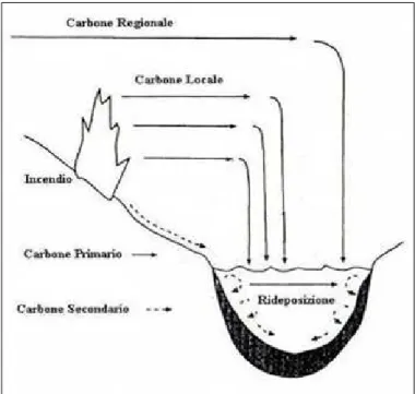 Fig. 10 - Schema illustrante il meccanismo di  produzione, trasporto e deposizione delle particelle di  microcarbone all’interno di un bacino di sedimentazione 