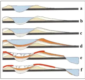 Fig. 17 - La formazione di un dosso fluviale  (Tratto da: D ESANTIS  P., B IGONI  M., F ACCENDA  P.,