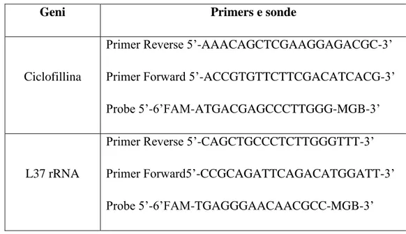 Tab. 2 Primers e sonde per il gene ciclofillina ed L37 rRNA 