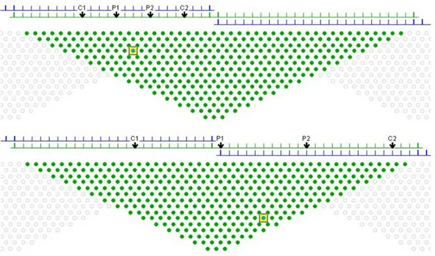 Fig. 1.10 – Rappresentazione schematica della realizzazione di un’acquisizione 2D con un  georesistivimetro ad accoppiamento galvanico